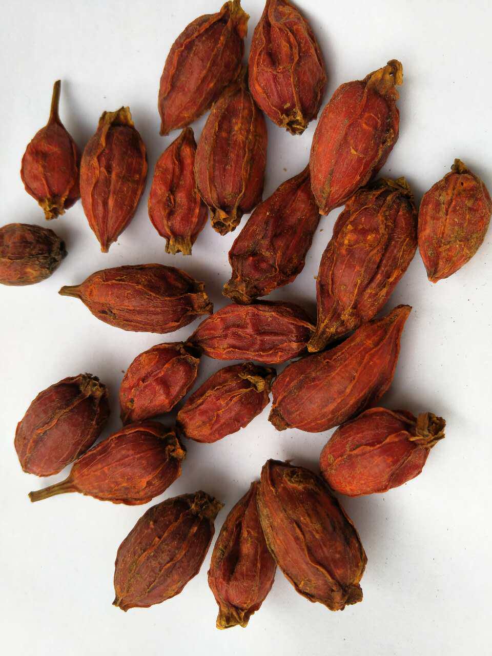 野生黄栀子果花草茶栀子花茶红栀子果山红枝子可磨粉500g15元包邮_双