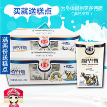 Shibu high calcium milk 250mL*12 boxes*2 boxes Guangxi children and students breakfast sweet milk adult nutrition milk
