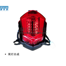 Applicable motorcycle GSX250R tail light assembly GSX250R-A rear tail light brake light original dress with anti-counterfeit
