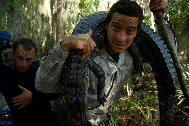 贝爷的大冒险野外必备物品大盘点