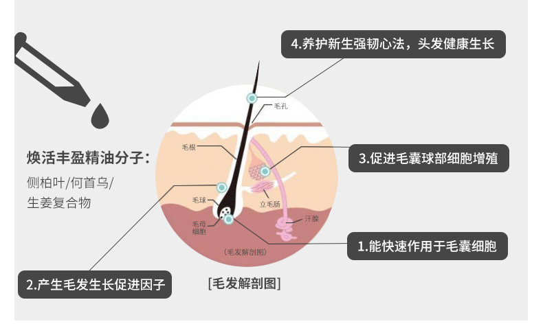 【长发神器】头发长得快变密3-5倍自然生长速