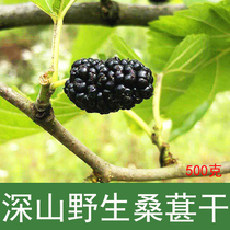 Wild black mulberry dried mulberry 500g sand-free large particles mulberry dried mulberry soaked in water Mulberry dried instant non-mulberry tea
