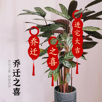 The relocation of the happy decoration decoration supplies new home door handle decoration pendant into the door new home into the house moving decoration