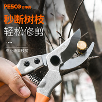 Gardening scissors scissors pruning shears fruit trees pruning branches strong flower scissors garden flower scissors Orchard