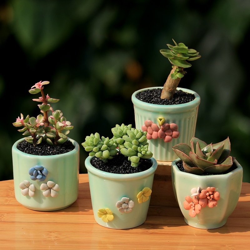 Three sisters flower celadon flower pot ceramic creative hand - made flowers round lovely fleshy flower pot in household indoor the plants