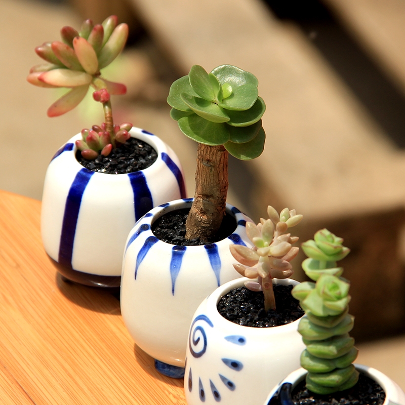 Blue and white thumb meat flowerpot ceramic indoor small stones form creative mini round special offer a clearance flower pot