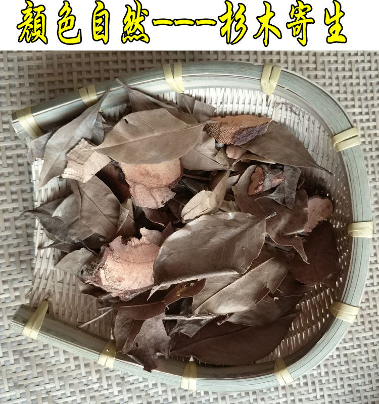 广西杉木寄生 杉树寄生 杉寄生 一斤包邮