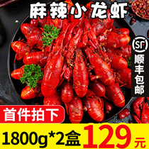 Spicy crayfish 1 8kg * 2 boxes 4-6 money spicy crayfish shi san xiang heating ready-to-eat packaged cooked snacks