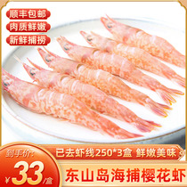 Dongshan Island sea catch cherry shrimp 250g*3 boxes seafood aquatic shrimp fresh frozen shrimp sea shrimp Shunfeng