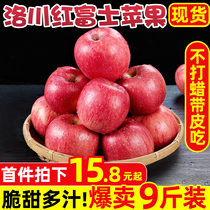 Luochuan Red Fuji Apple Fruit Fresh Season Whole Box Seasonal 9 Jin Ugly Apple Wholesale Sweet Pingguo 10