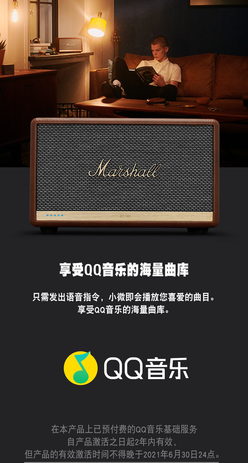 Acton-2-Voice-Details Brown version_06.jpg
