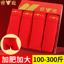 Yalu plus fat red underwear mens large size pure cotton this year married little tiger boxer head fat underwear