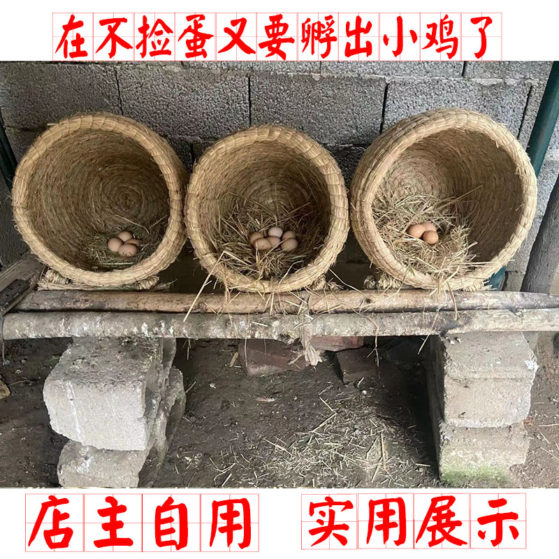 稻草鸡窝编织教程图片图片