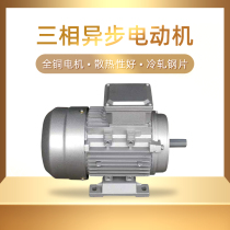 Three-phase asynchronous motor aluminum shell YS0 37 0 55 1 1 1 5 2 2KW all copper 380V small motor