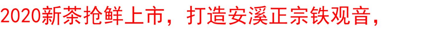 2021新茶铁观音茶叶浓香型250g