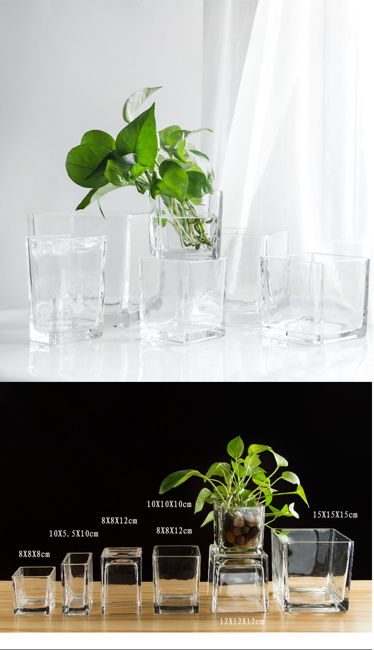 水培花盆玻璃瓶创意方缸玻璃花瓶透明绿萝铜钱草水养植物器皿容器