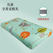 Childrens Pillow Children Buckwheat Pillow Pure Buckwheat Leather Shell Low Pillow Juvenile Cervical Anti-deviation Head Pillow