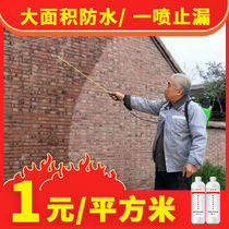 Toilet indoor external wall face-free brick and waterproof paint Waterproof Paint Roof roof Tonic Leakage Spray Transparent water repellent