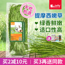 Jolly Zuli Timothy Hay 2021 Fresh Beit Rabbit Grass Chinchard Guinea Pig Timothy