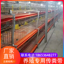 Farm cleaning belt PVC chicken manure drag manure belt Cleaning manure special conveyor belt Chicken farm cleaning conveyor belt