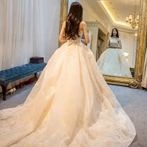 Wedding dress 2021 New Bride Court Princess plaster slim body long tailed mortal dream out yarn