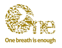 Bestdive dive suit custom logo