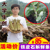 Dendrobium candidum fresh price fresh Dendrobium candidum fresh strips Dendrobium candidum