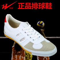 Double Star Volleyball Shoes Beef Training Shoes Martial Arts Exercise Canvas Shoes Men and Women Running Shoes Mesh Shoes