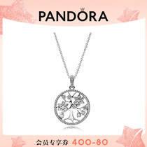 Pandora 925 Silver Genealogy Necklace Necklace 390384CZ Couple Elegance