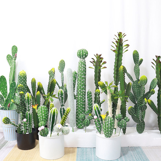Simulation succulent cactus cactus tropical green plant window decoration landscaping ornaments Nordic ins fake flowers Simulation succulent cactus cactus tropical green plant window decoration landscaping ornaments Nordic ins fake flowers