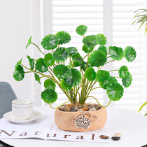 Nordic insin wind creative simulation flower green vegetation living room bion fake flower decorative decorative decorative decorative decoration table small potted plant pendant