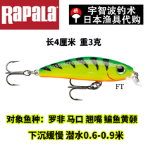 rapala Leber microbiotics slow down mino false bait light far throw hard road subbait teething fresh water Sink Bait
