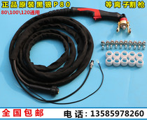 Dongsheng general Hugong Black wolf P80 80 100 plasma welding machine cutting gun Black Wolf P80 cutting gun
