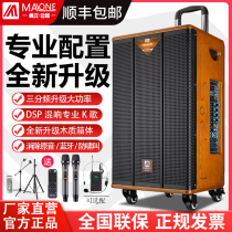 American Manlong square dance outdoor sound with wireless microphone High-power K song performance live rod speaker
