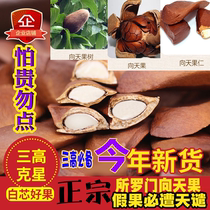 Solomon Yuanzhen Xiangtianguo wild premium 500g pure natural large nuts 500g nemesis