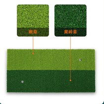 FG Golf Two - Color Green Strike Pad Indoor Push Training Swing Pad