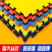 Taekwondo mat Professional mat 3 0 high density thickened gymnastics mat Fight sanda training mat