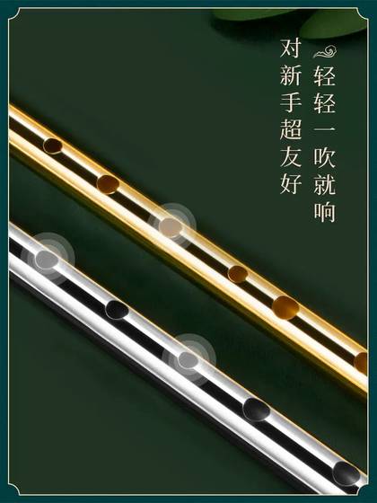 Romusic Irish Whistle Flute C-Tune D-Tune 고음 초등학생을위한 6 홀 레코더 플루트 초보자 공연 Romusic Irish Whistle Flute C-Tune D-Tune 고음 초등학생을위한 6 홀 레코더 플루트 초보자 공연