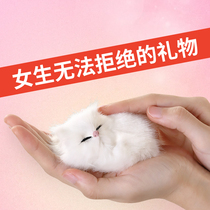 Birthday Gift Girl Girlfriend Girlfriend FriendFriendwife Practical Featured Creativity Special High-end Girl Surprise