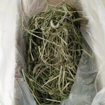 Timothy grass Nanti Hay pet living lop-eared rabbit dwarf cat cat rabbit molar pet snack rabbit grain