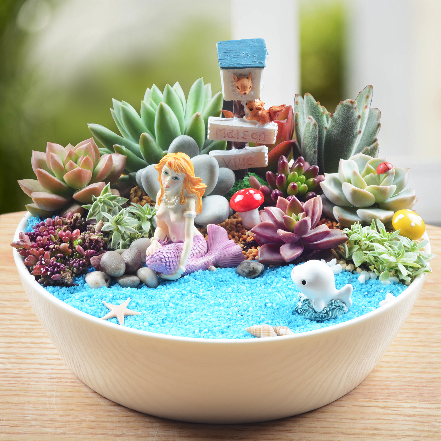 景观多肉盆栽,萌萌的美美的童话世界