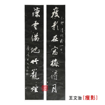 The inscription rubbings Wang Wenzhi (thin shadow)