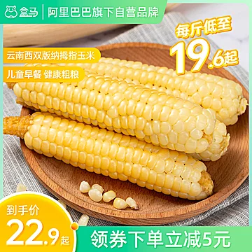 云南西双版纳袖珍手指白糯小玉米1kg[6元优惠券]-寻折猪