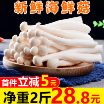 Fresh seafood mushrooms 2 pounds edible mushrooms mushrooms crab mushrooms white jade mushrooms spotted jade mushrooms fragrant mushrooms Zhenji mushrooms soup vegetables