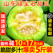 Ganfu Garden Shandong Green Treasure melon 5 pounds fresh seasonal fruit Small melon crispy melon Emerald melon