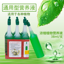 Plant universal nutrient solution Hydroponic soil universal nutrient solution Flower fertilizer Fuguizhu fleshy green dill fertilizer nutrient solution