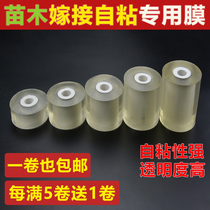 Self-adhesive garden fruit tree grafting special film Grafting tape Bandaging tape Winding film Tree grafting film