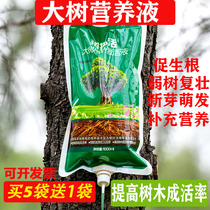 Universal tree nutrient solution Transplanting hanging needle liquid Fruit tree rooting agent Tree infusion activation liquid bag needle delivery tube