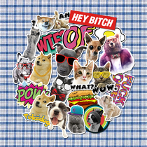 Cute pet cat suitcase laptop trolley case sticker ipad mobile phone ins personality waterproof sticker