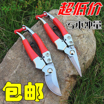 Pruning scissors Branch fruit tree scissors Gardening scissors Garden coarse branch scissors Flower repair tools Household fruit picking artifact